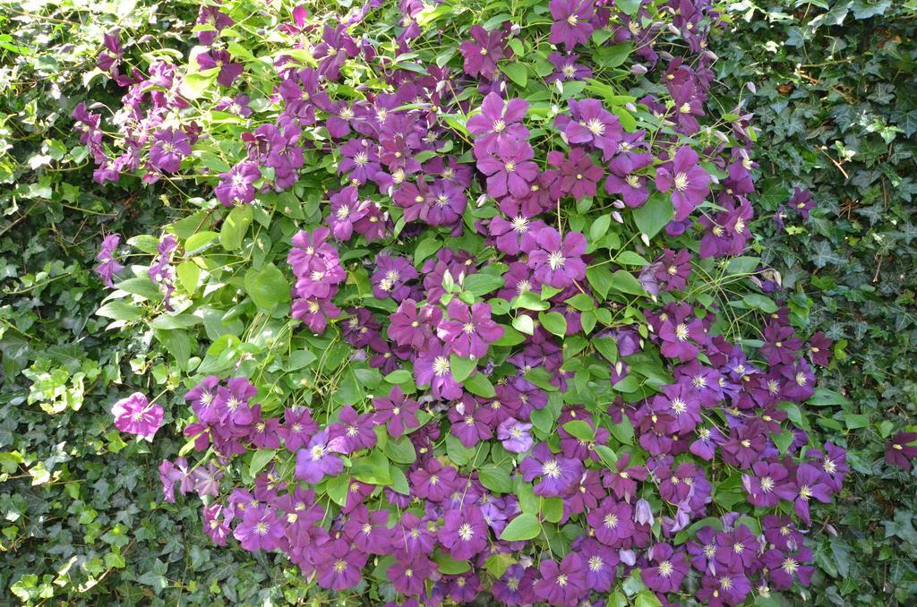 Bed and Breakfast Bloemenhoeve Birdaard Exterior foto